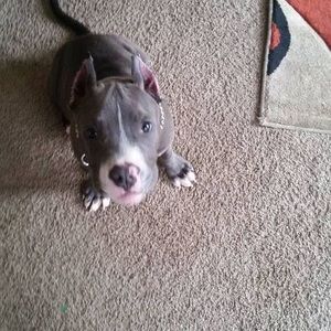 Meet your Posher, Marcus